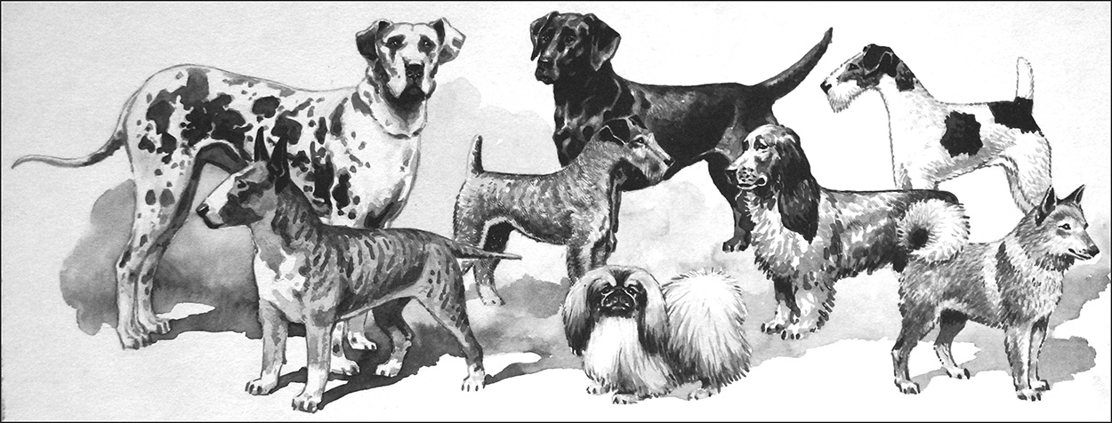 Domestic Dogs (Original) art by Animals at The Illustration Art Gallery
