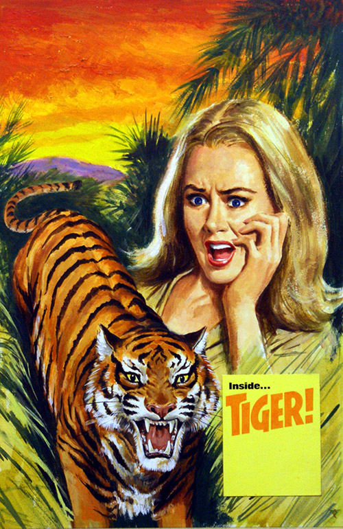 Tiger (Original) by Animals at The Illustration Art Gallery