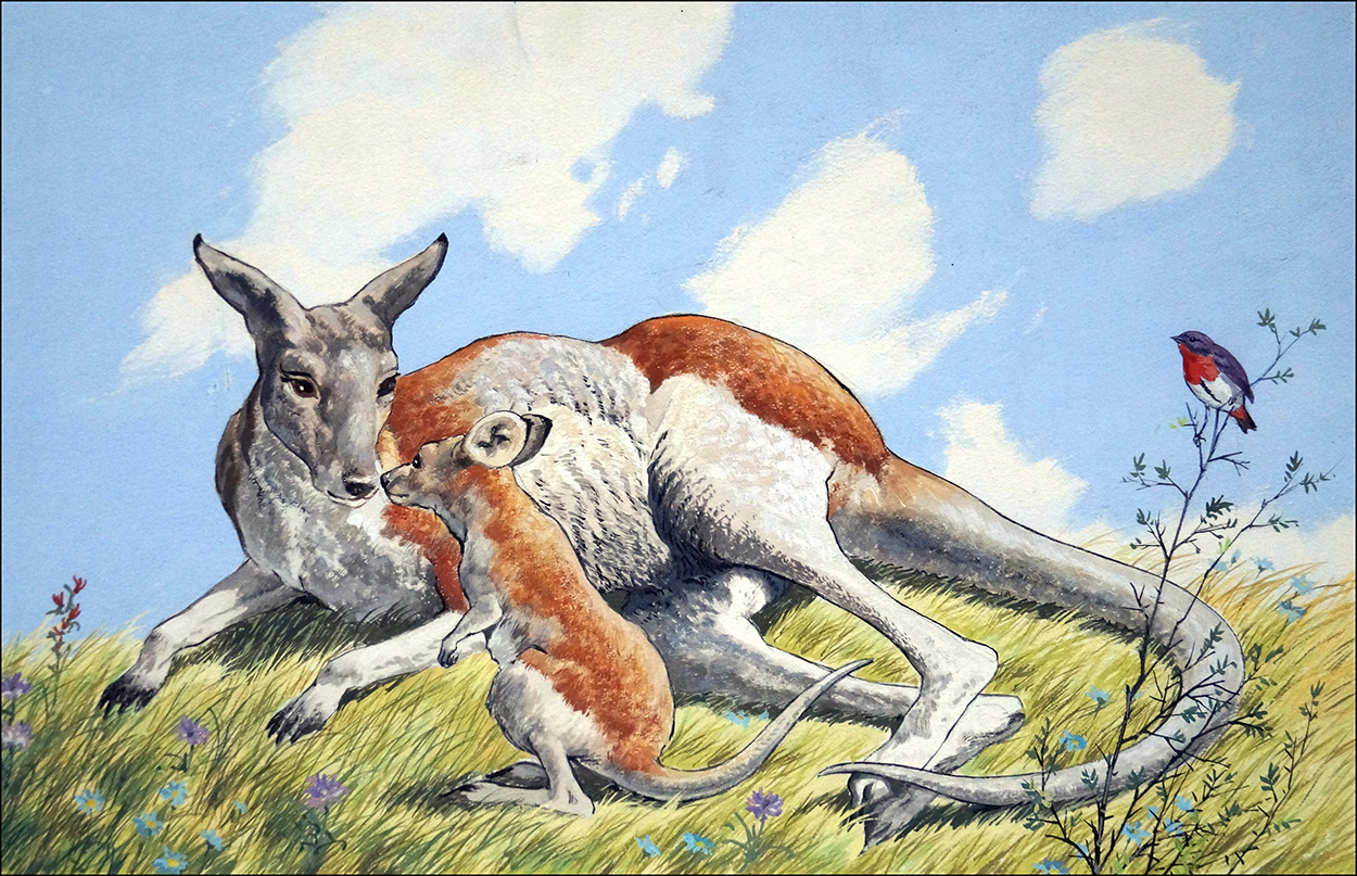 Kangaroo and Baby (Original) art by Animals at The Illustration Art Gallery