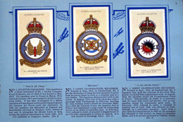 Complete Set of 50 RAF Badges Cigarette cards in album (1937)