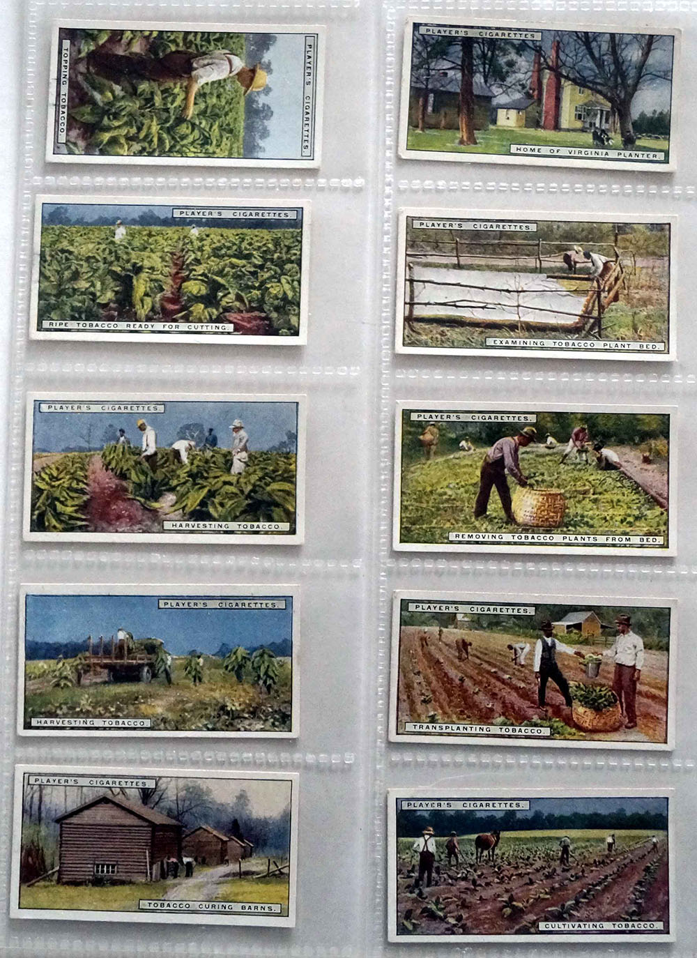 Full Set of 25 Cigarette Cards: From Plantation to Smoker (1926) at The Book Palace