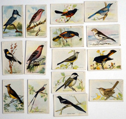 Full Set of 15 Cigarette Cards: Useful Birds of America 8th series (1936)