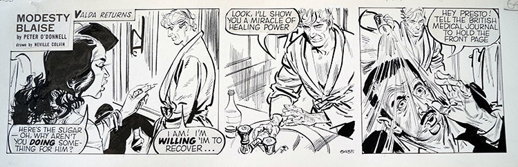 Modesty Blaise daily strip 6435 (Original) by Modesty Blaise (Neville Colvin) at The Illustration Art Gallery