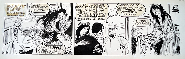 Modesty Blaise daily strip 6439a (Original) by Modesty Blaise (Neville Colvin) at The Illustration Art Gallery