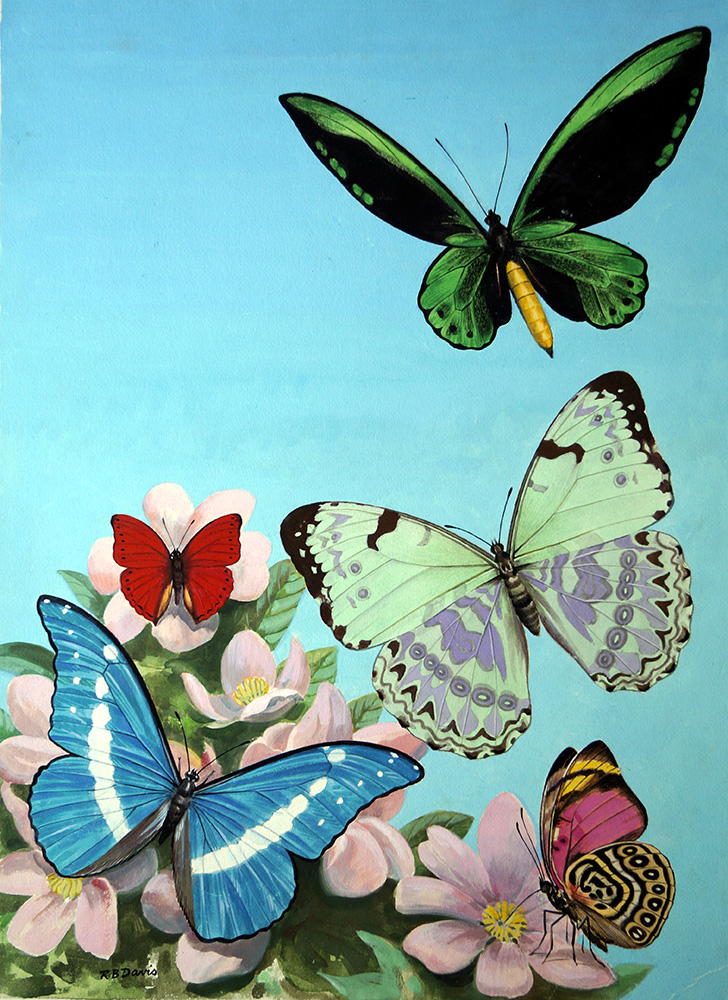 Butterflies - High-Flying Beauties (Original) (Signed) art by Reginald B Davis at The Illustration Art Gallery
