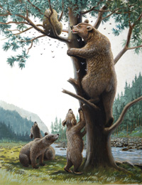 Grizzly Bear Family art by Reginald B Davis