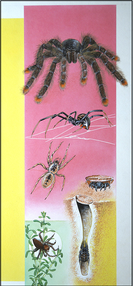 World of Spiders (Original) art by Reginald B Davis at The Illustration Art Gallery