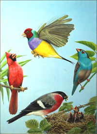 Tropical Birds (Original) (Signed)