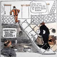 Foolish Questions & Other Odd Observations: Early Comics 1909 - 1919 