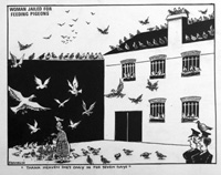 Pigeon Woman of Alcatraz (Original) (Signed)
