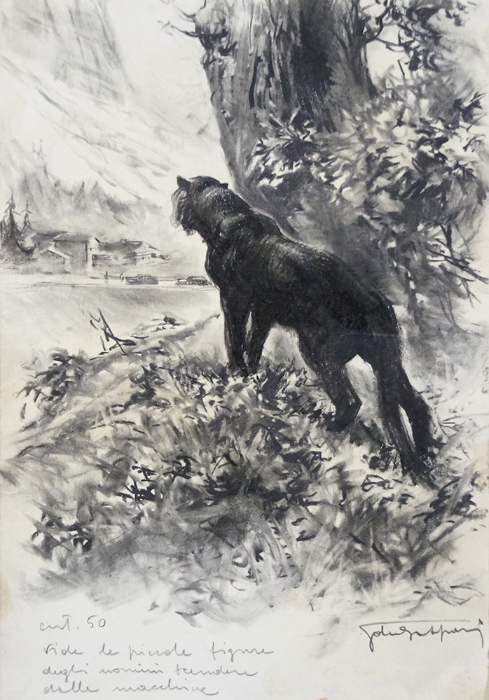 The Prowling Wild Cat (Original) (Signed) art by Giorgio De Gaspari at The Illustration Art Gallery