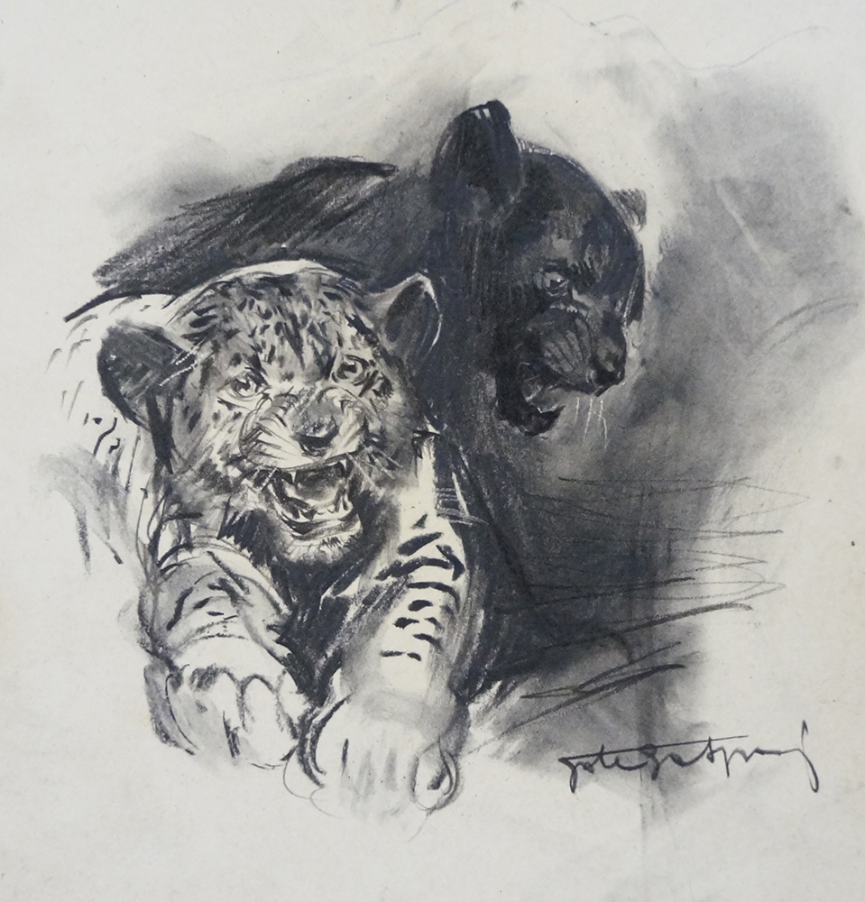 Wild Cats (Original) (Signed) art by Giorgio De Gaspari at The Illustration Art Gallery