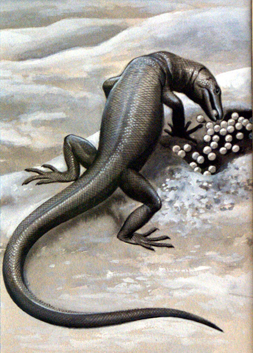 Monitor Lizard (Original) by Helen Haywood Art at The Illustration Art Gallery