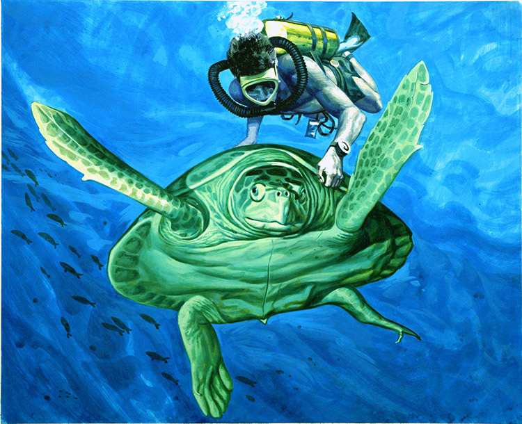 Sea Turtle and Diver (Original) by Andrew Howat Art at The Illustration Art Gallery