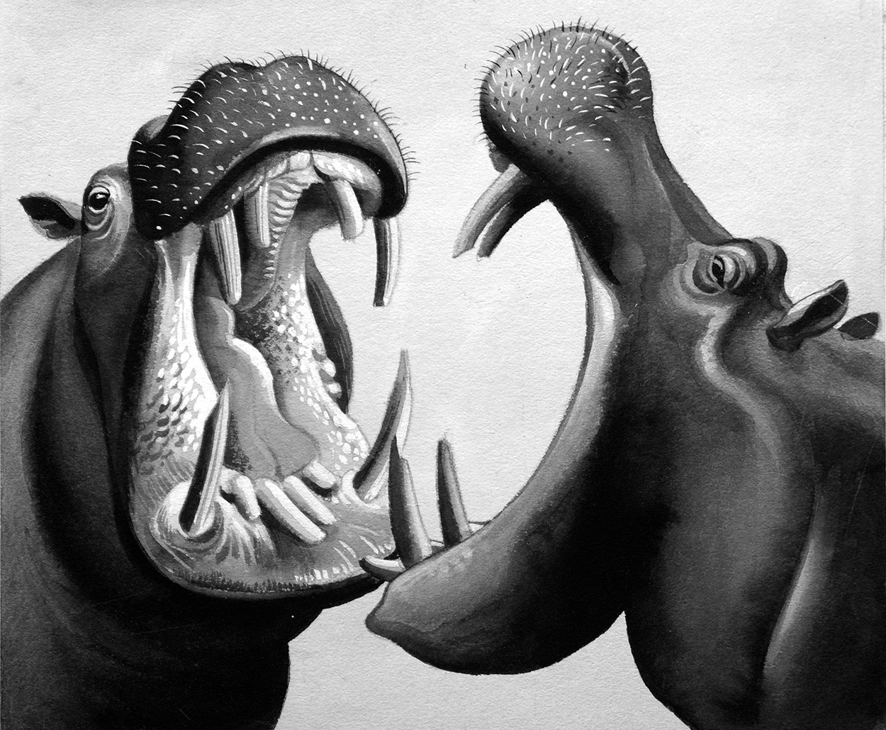 Hippo Fight (Original) art by John Keay at The Illustration Art Gallery