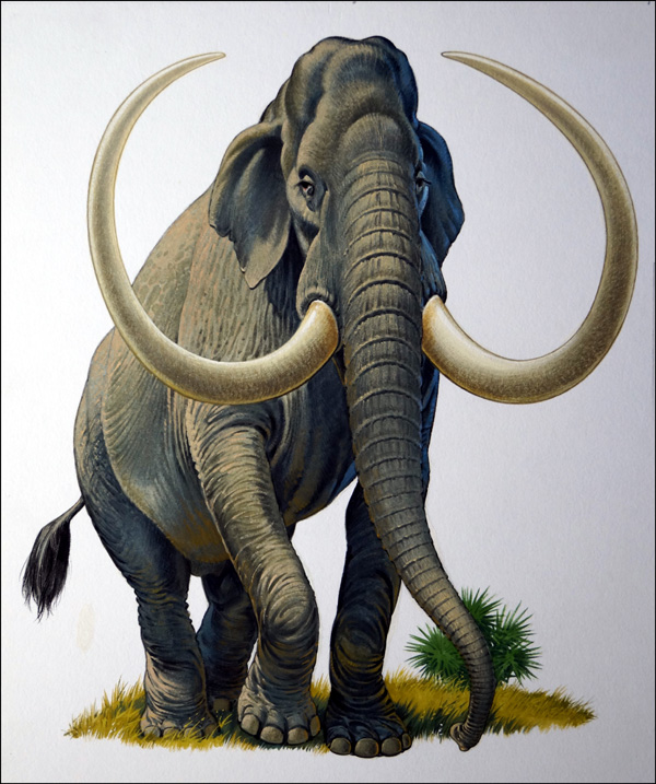 Imperial Mammoth (Original) by Bernard Long Art at The Illustration Art Gallery