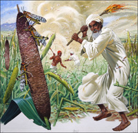 Locusts - Not only a Biblical Plague (Original)