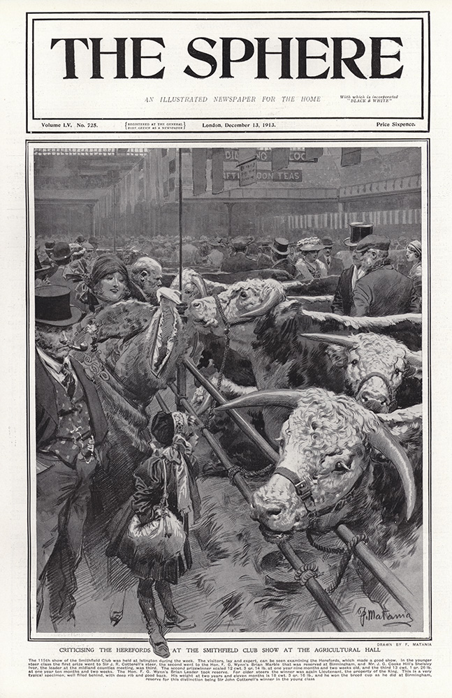 The Smithfield Club Show 1913  (original page The Sphere 1913) (Print) art by 1913 (Matania original prints) at The Illustration Art Gallery