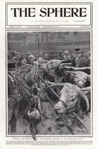 The Smithfield Club Show 1913  (original page The Sphere 1913) (Print)