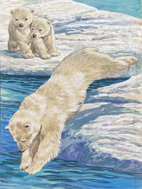 Baby Polar Bears (Original)