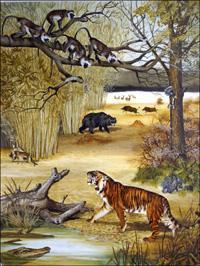 Animals of India (Original)