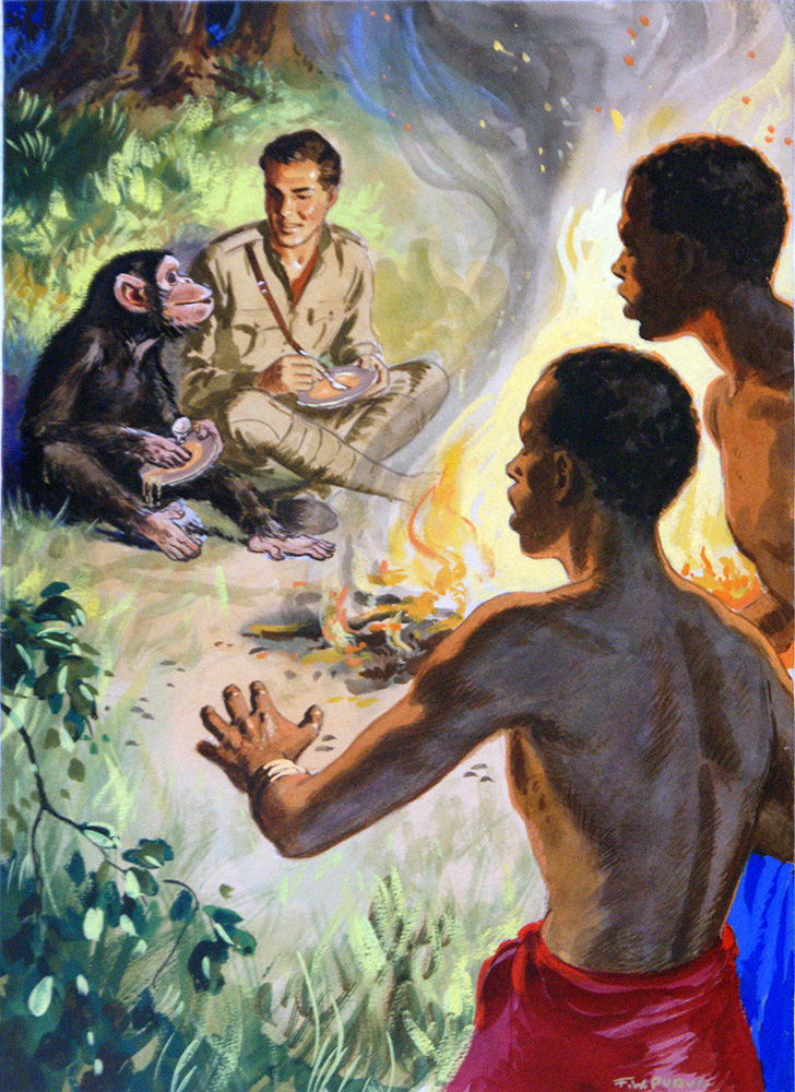 Dauntless Jock with a Chimp (Original) (Signed) art by F W Purvis Art at The Illustration Art Gallery