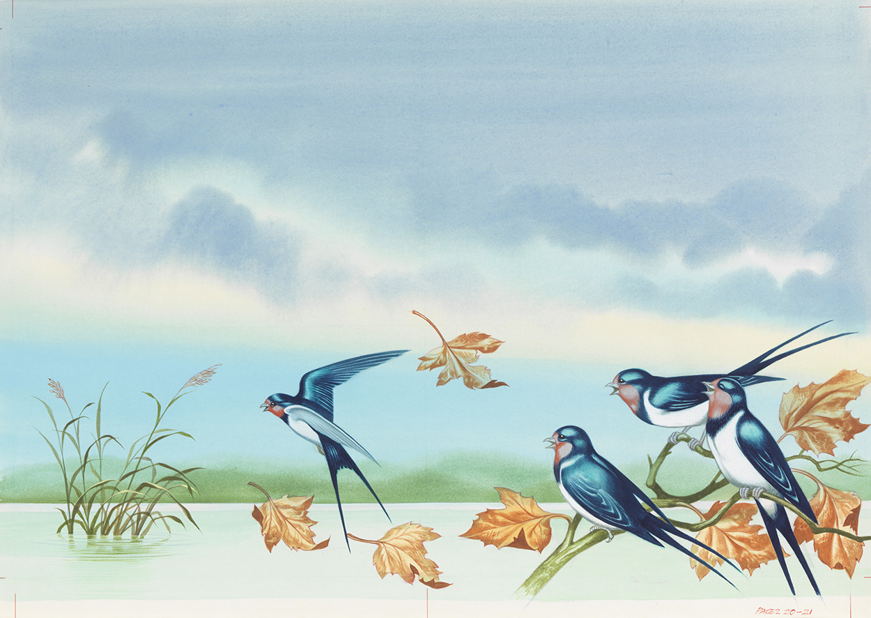 The Happy Prince: Bluebirds (Original) art by The Happy Prince (Ron Embleton) at The Illustration Art Gallery