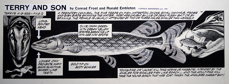 Terry and Son - Cannibal (Original) by Terry and Son (Ron Embleton) at The Illustration Art Gallery