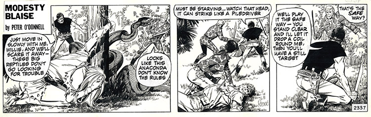 Modesty Blaise strip 2337 - Diana and the Anaconda (Original) (Signed) by Modesty Blaise (Romero) Art at The Illustration Art Gallery