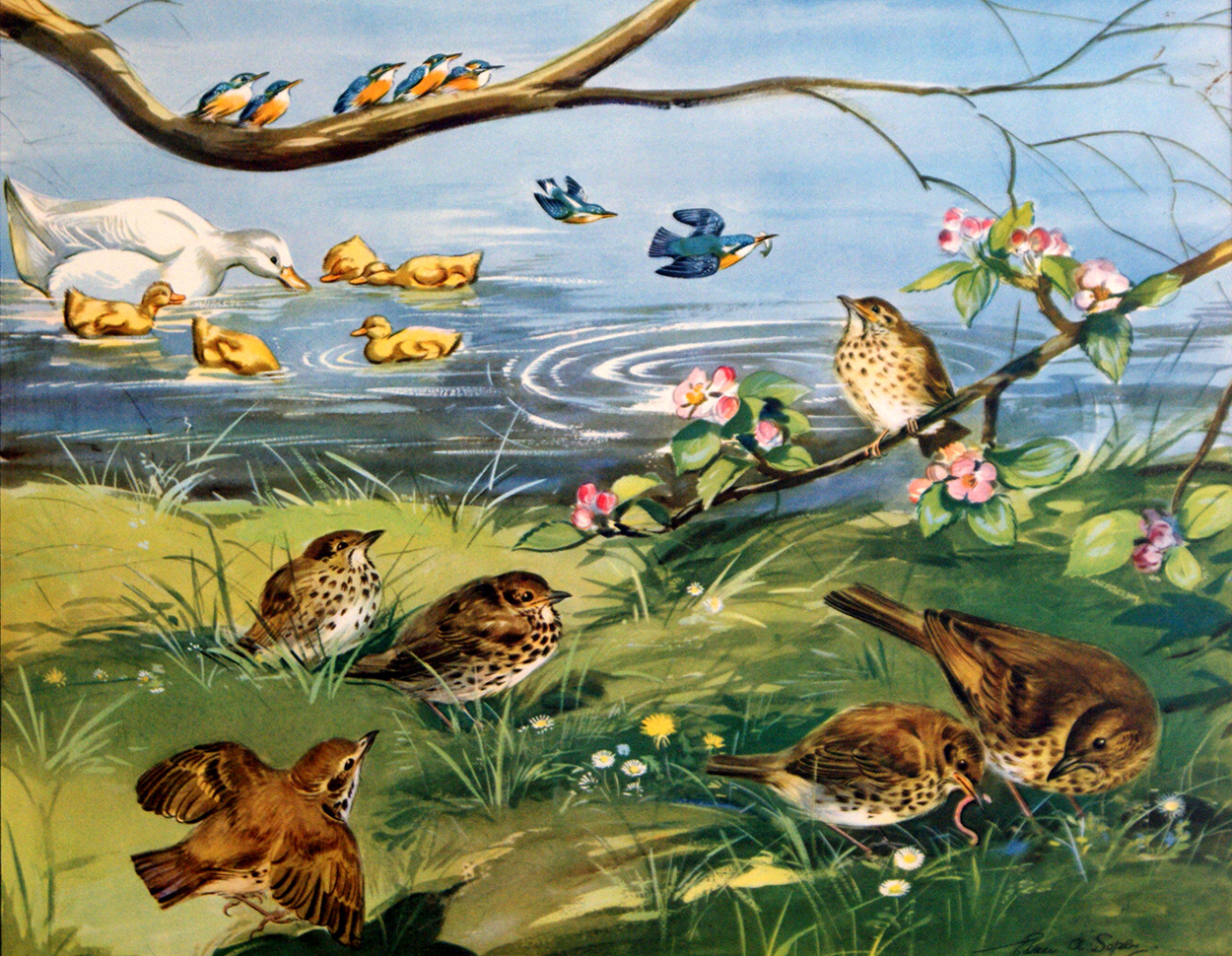 The Birds go to School (Original Macmillan Poster) (Print) art by Eileen Soper at The Illustration Art Gallery