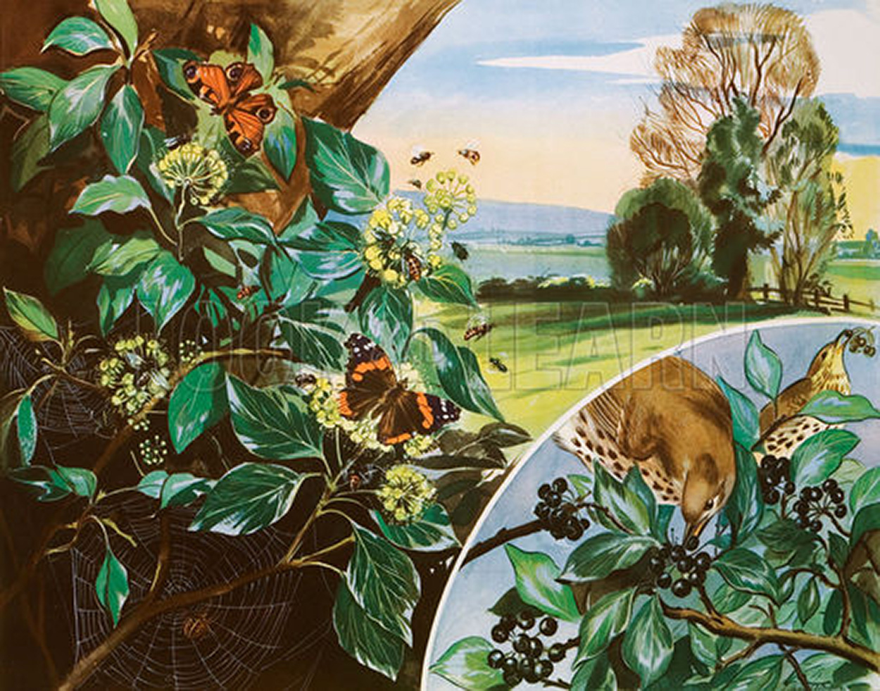 The Brownie and the Ivy (Original Macmillan Poster) (Print) art by Eileen Soper at The Illustration Art Gallery