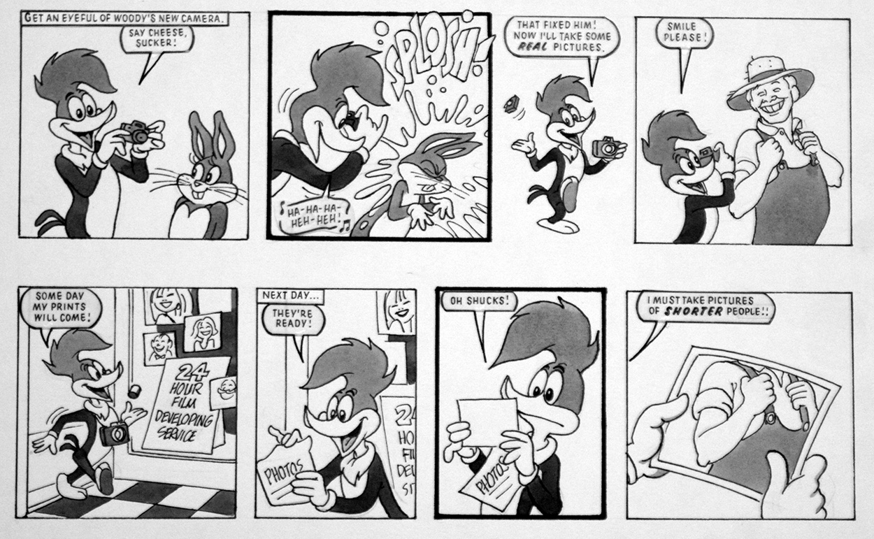 Woody Woodpecker: Snap Happy (Original) art by Woody Woodpecker (Titcombe) at The Illustration Art Gallery