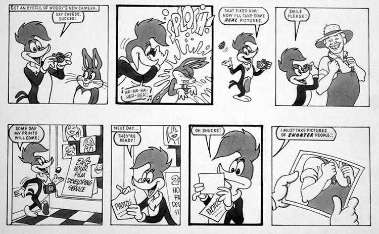 Woody Woodpecker: Snap Happy (Original) by Woody Woodpecker (Titcombe) at The Illustration Art Gallery