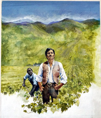 Mario's Vineyard book cover art (Original)