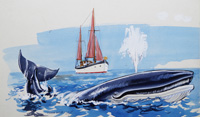 Willie's Whale art by John Worsley