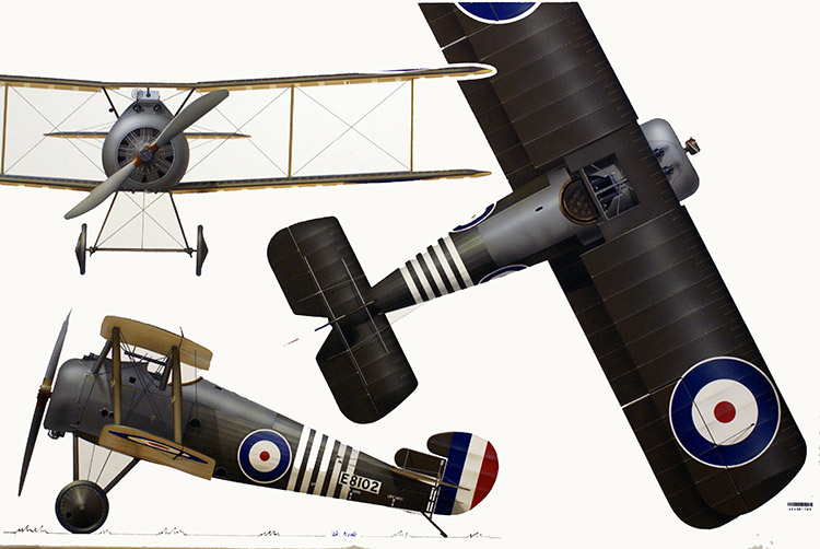 Sopwith Snipe (Original) (Signed) by Iain Wyllie at The Illustration Art Gallery